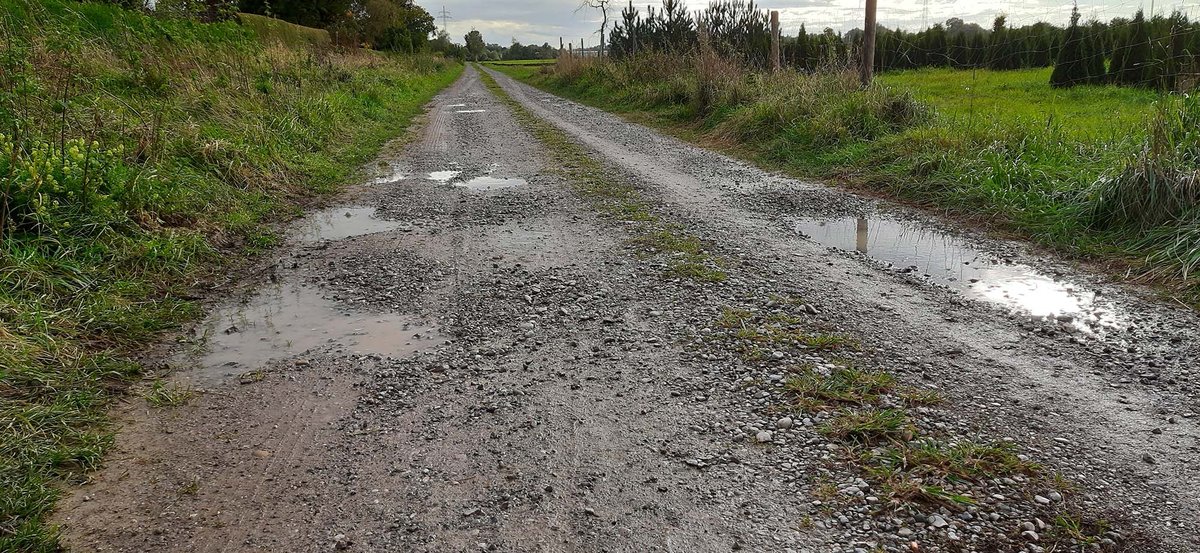 Weg mit Pfützen und Spurrillen